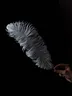 Pluma