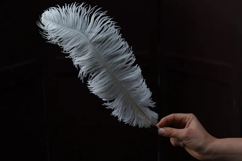 Pluma