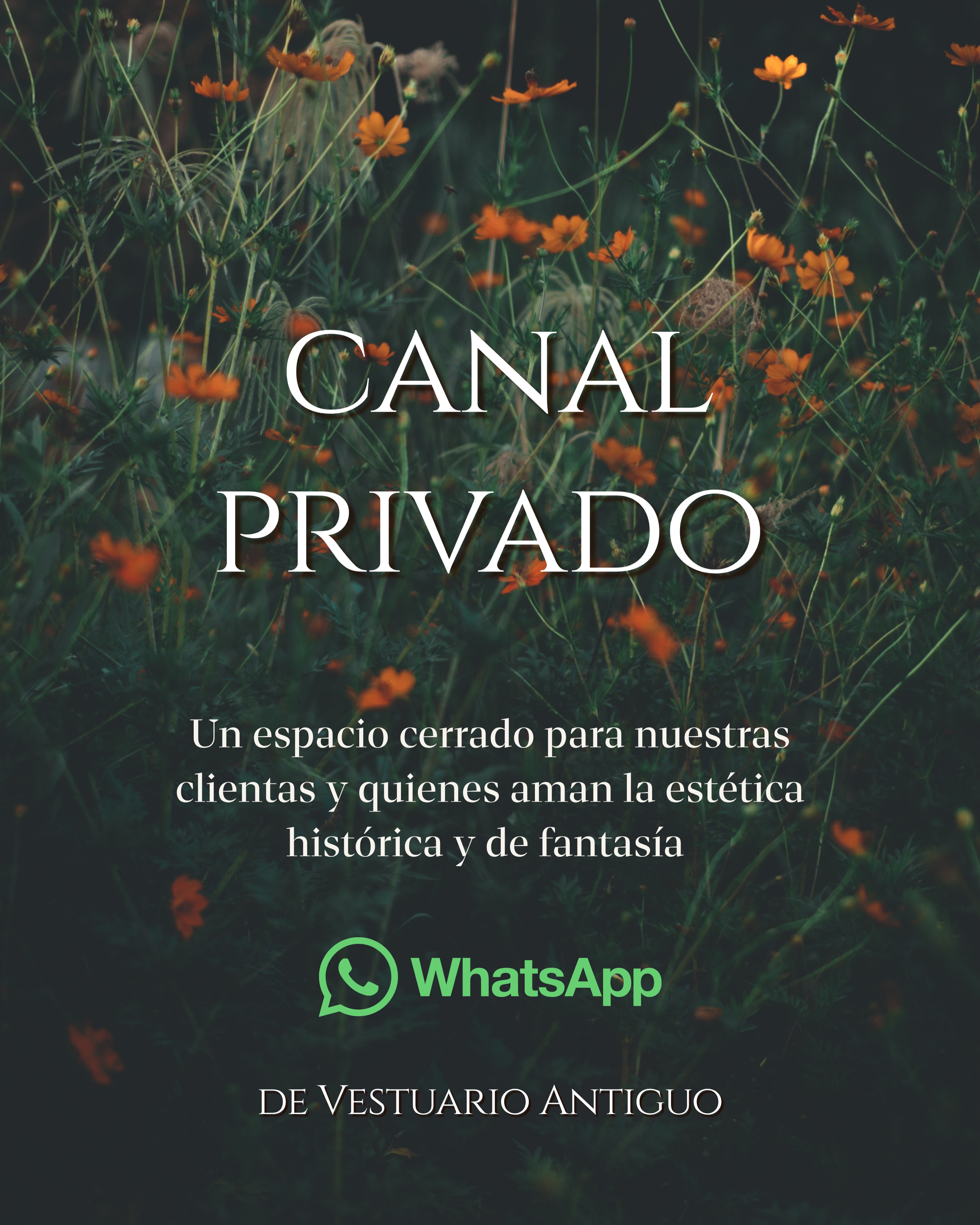 Publicación de Instagram de vestuario.antiguo
