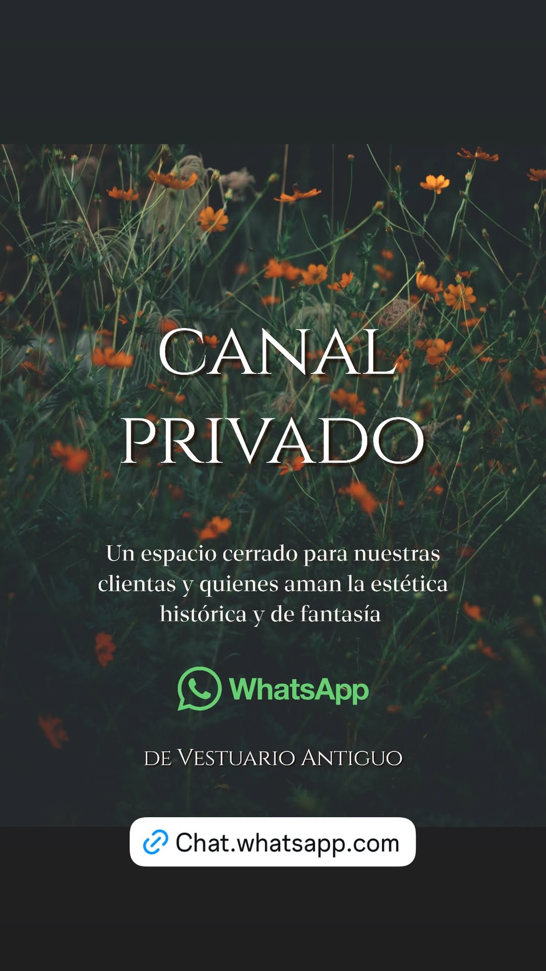 Historia de vestuario.antiguo