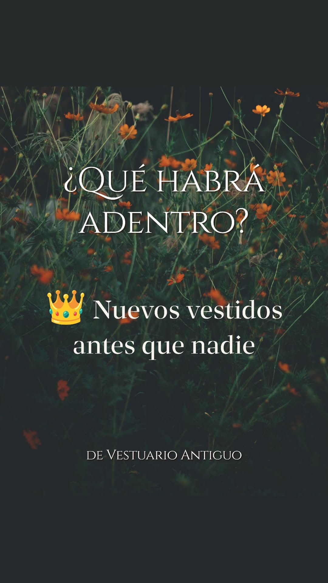 Historia de vestuario.antiguo