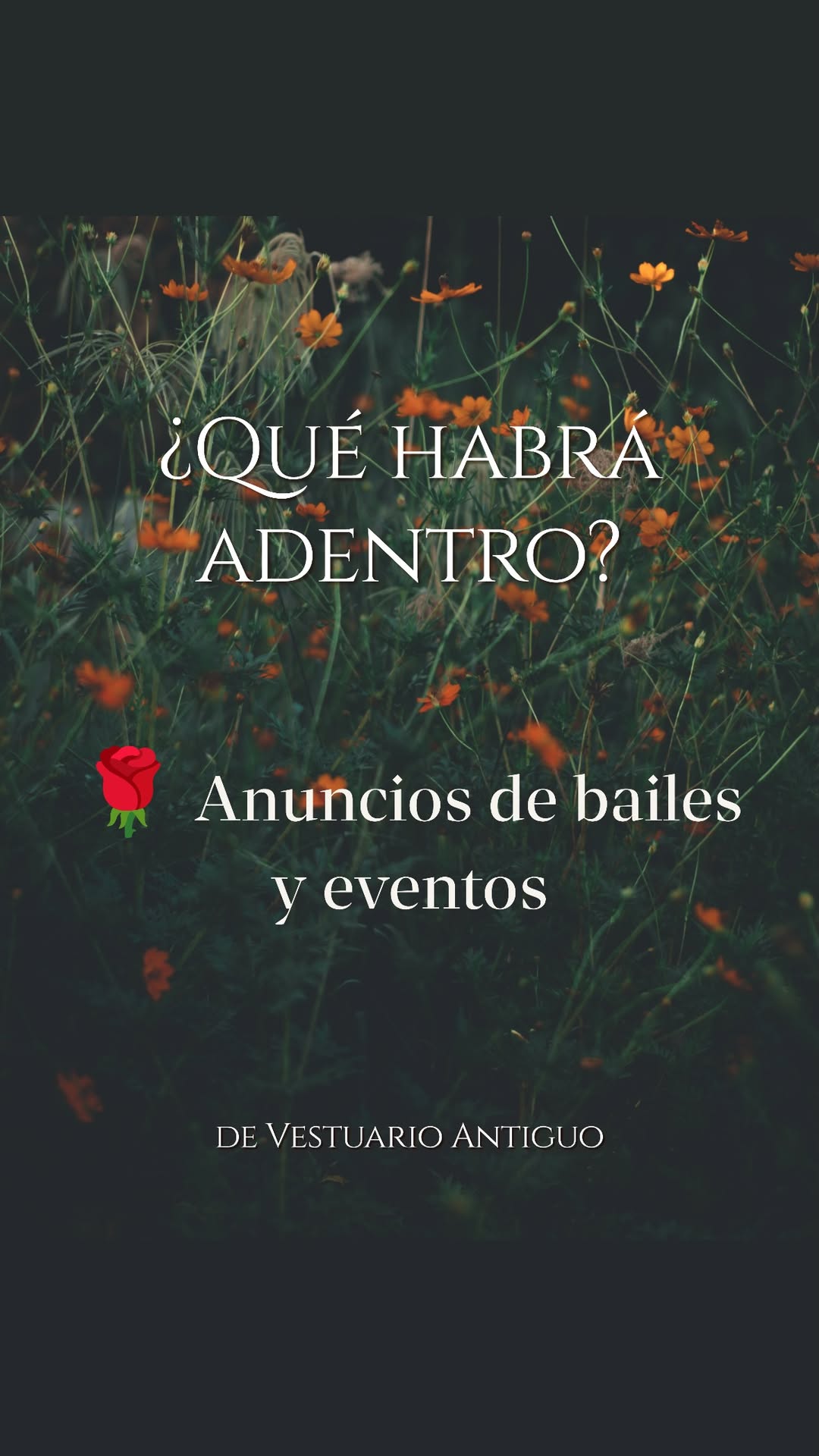 Historia de vestuario.antiguo