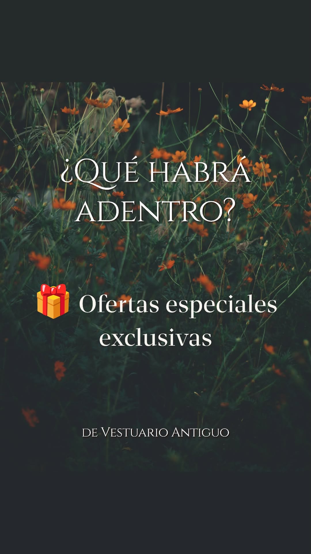 Historia de vestuario.antiguo