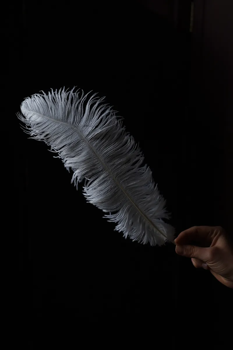 Pluma